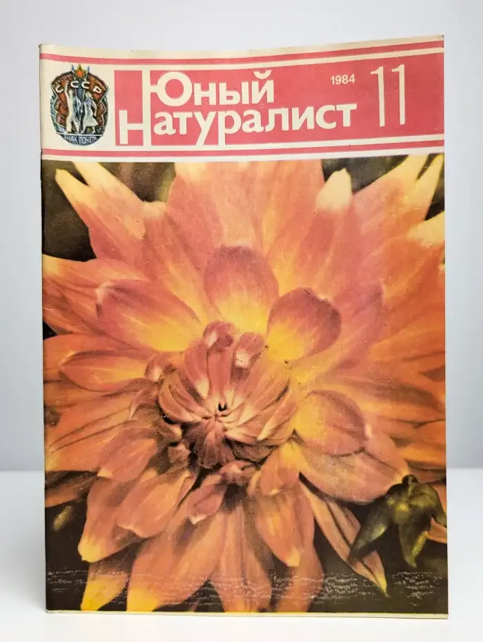 Юный натуралист. Выпуск № 11/1984