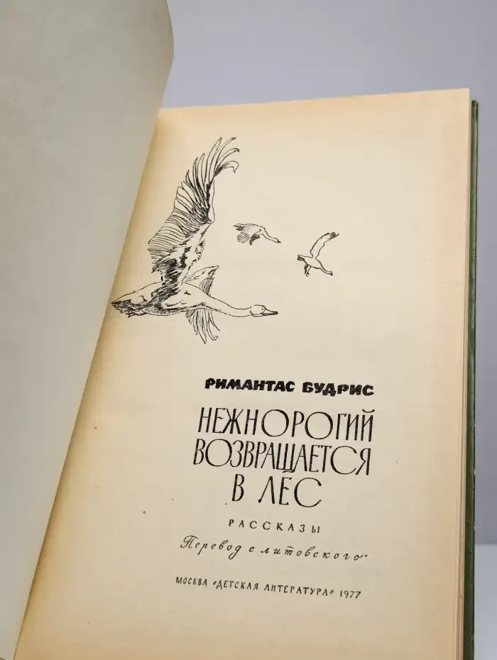 Нежнорогий возвращается в лес