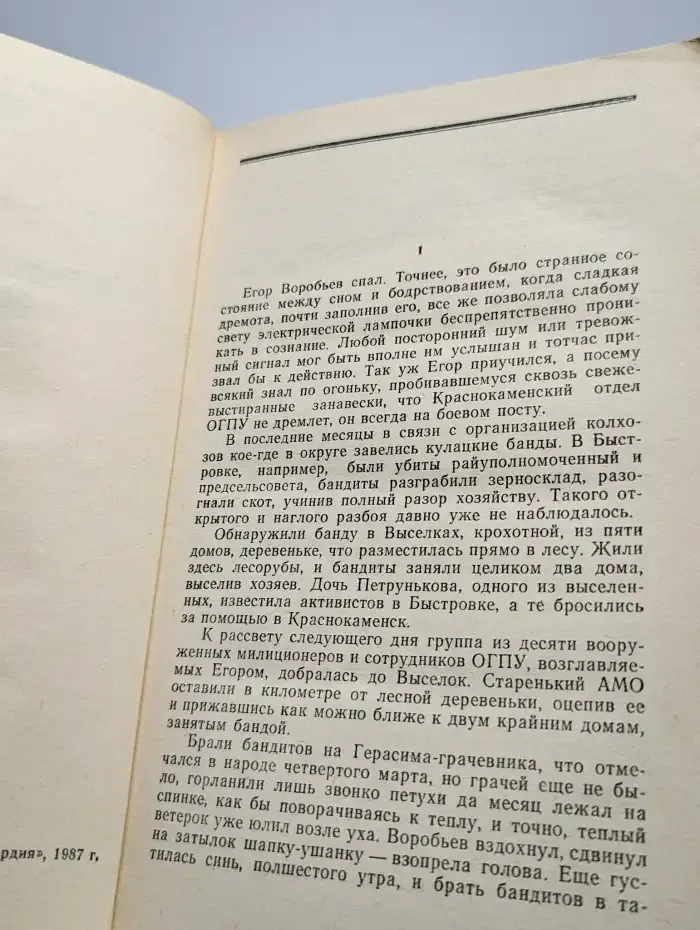 Врывалась буря