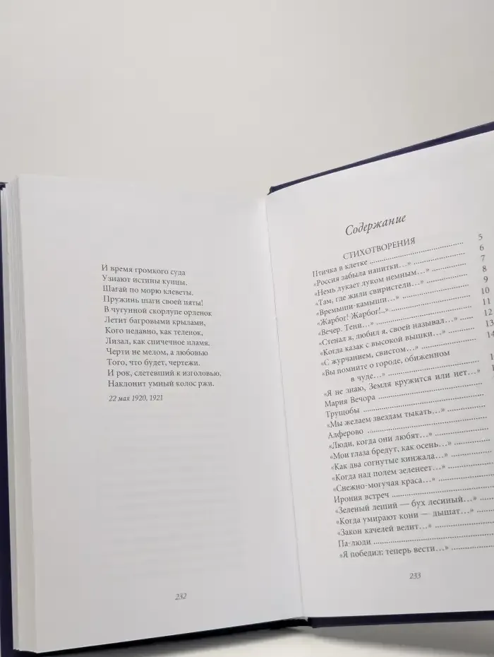 Великие поэты. Велимир Хлебников