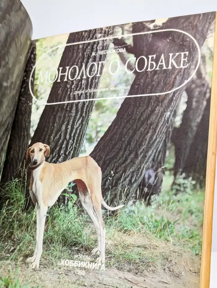 Монолог о собаке