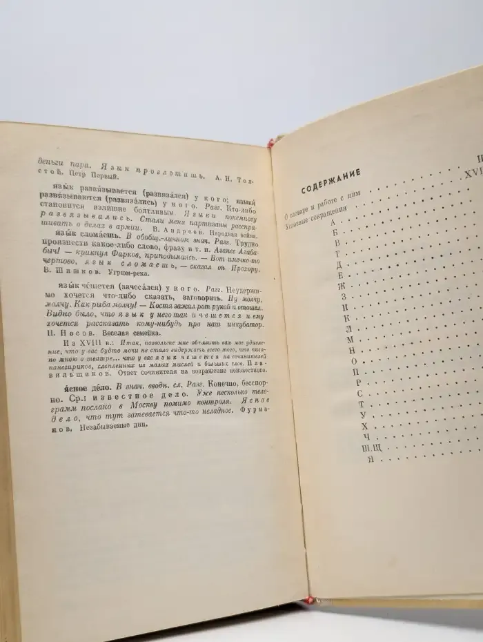 Школьный фразеологический словарь русского языка