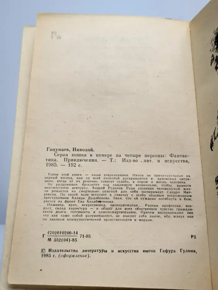 Серая кошка в номере на четыре персоны