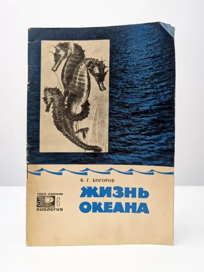Жизнь океана