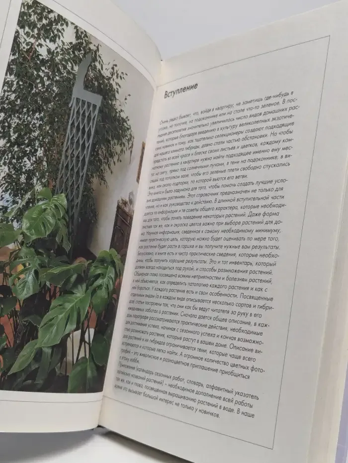 Комнатные растения. Справочник