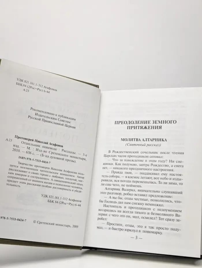 Отшельник поневоле