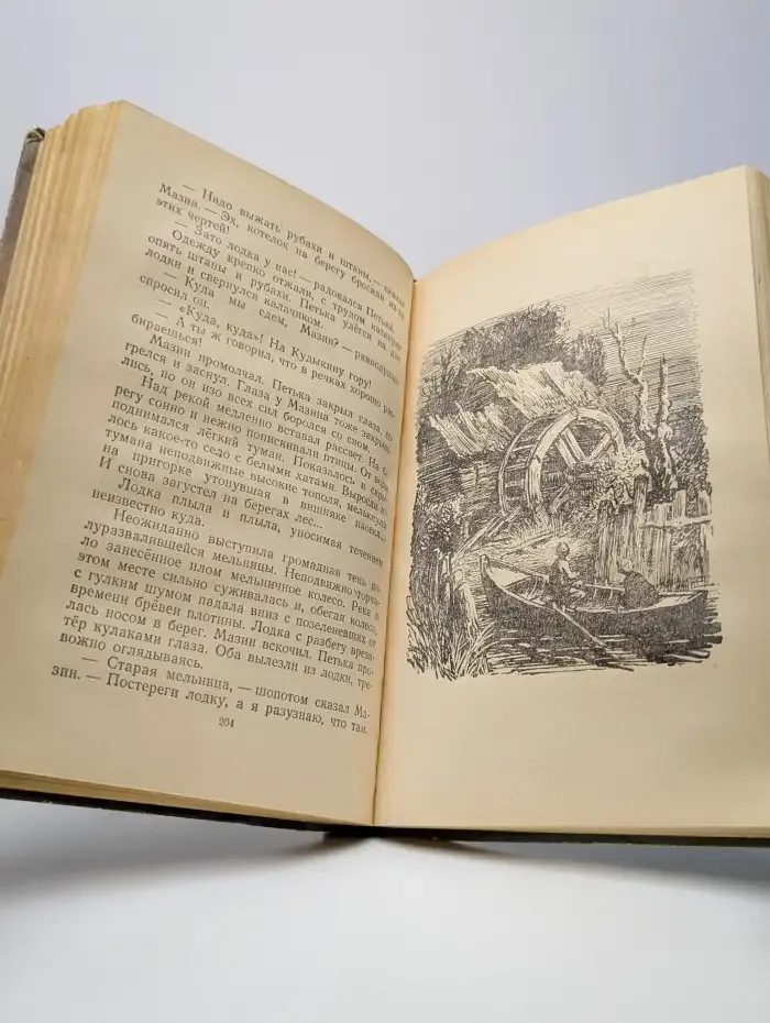 Васек Трубачев и его товарищи. Книга вторая