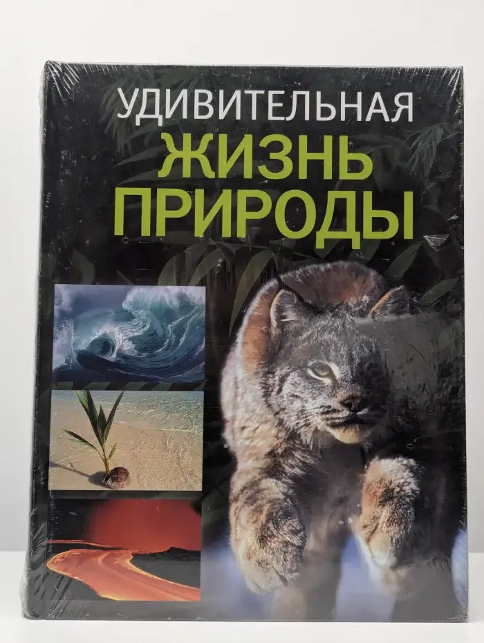 Удивительная жизнь природы