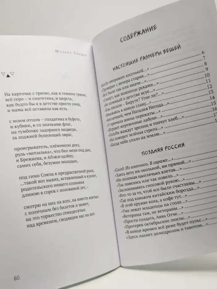 Пешеходная голубка
