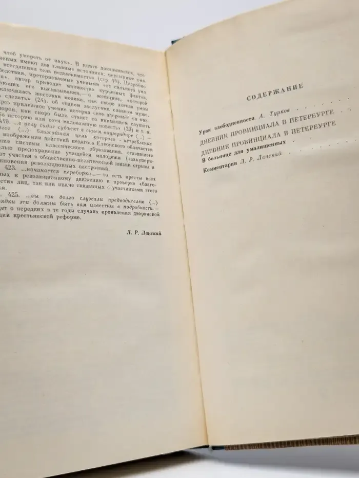 Дневник провинциала в Петербурге