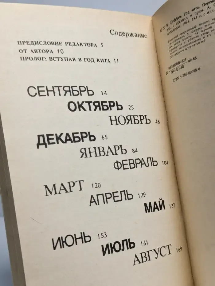Год кита