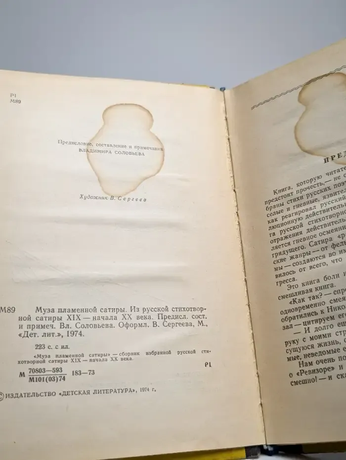 Муза пламенной сатиры. Из русской стихотворной сатиры