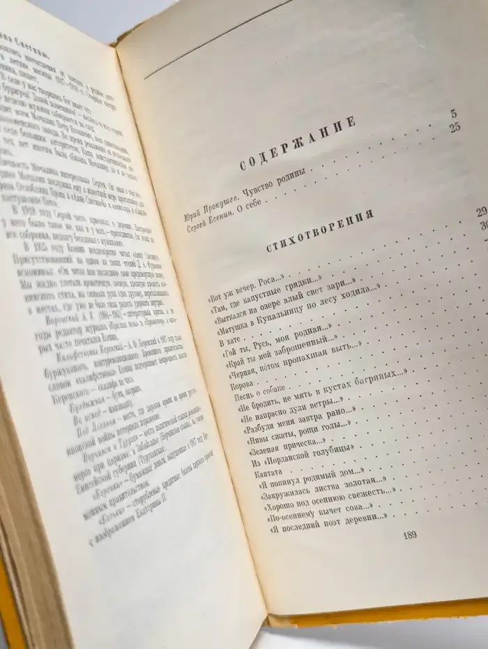 Сергей Есенин. Стихотворения и поэмы