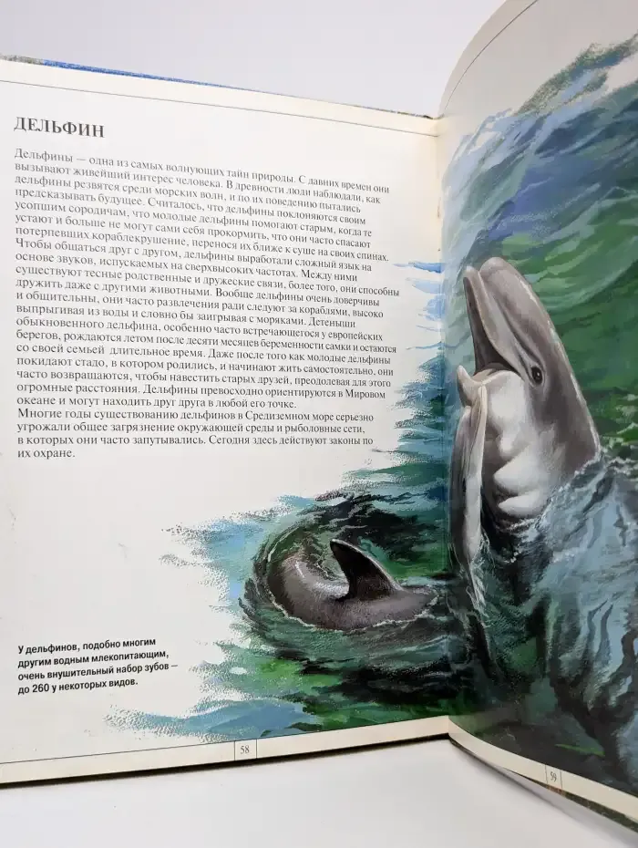 Животный мир Европы