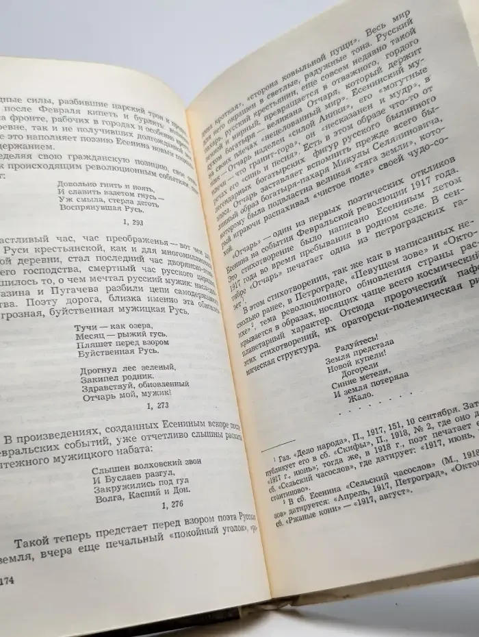 Сергей Есенин. Образ, стихи, эпоха
