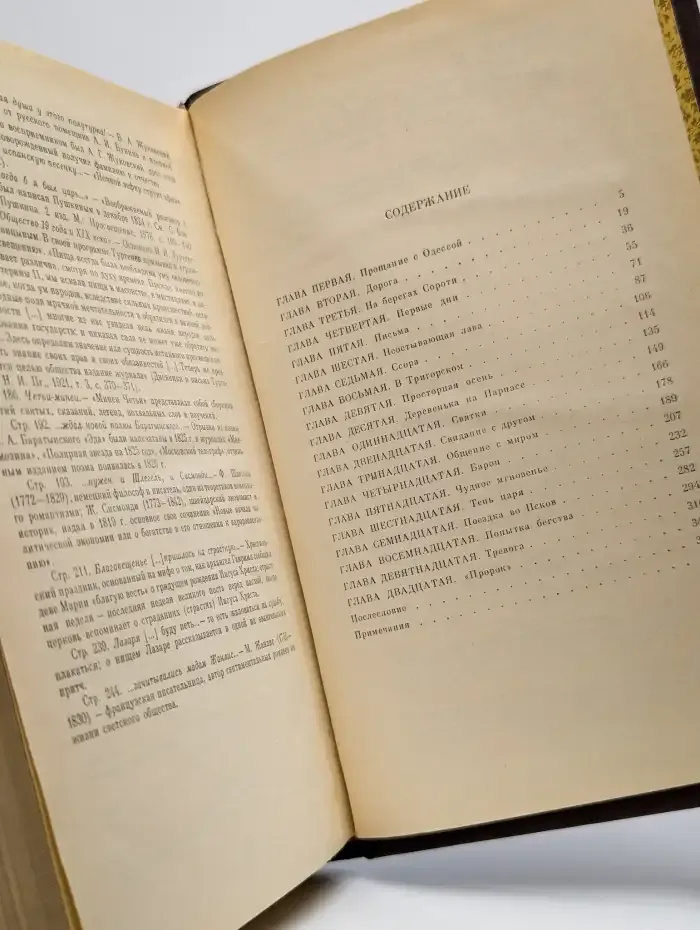 Пушкин в изгнании. Книга 2