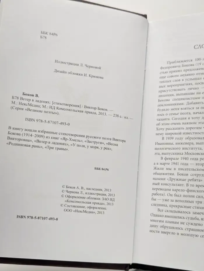 Ветер в ладонях
