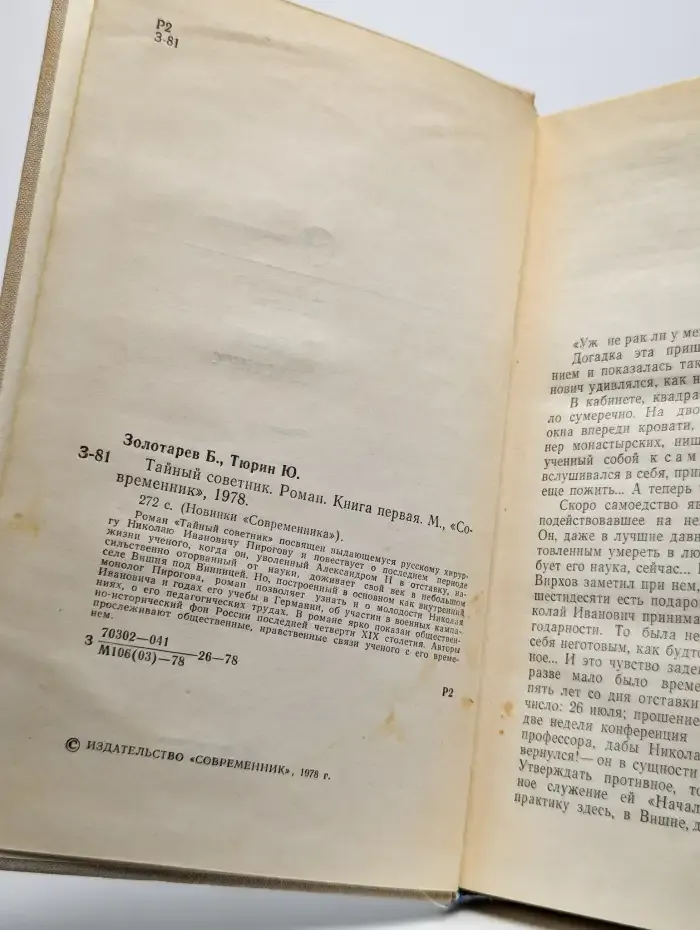 Тайный советник. В двух книгах. Книга 1