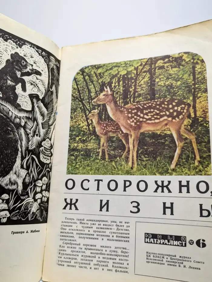 Юный натуралист. Выпуск № 6/1972