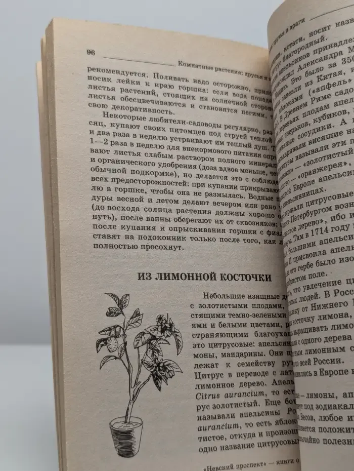Комнатные растения. Друзья и враги