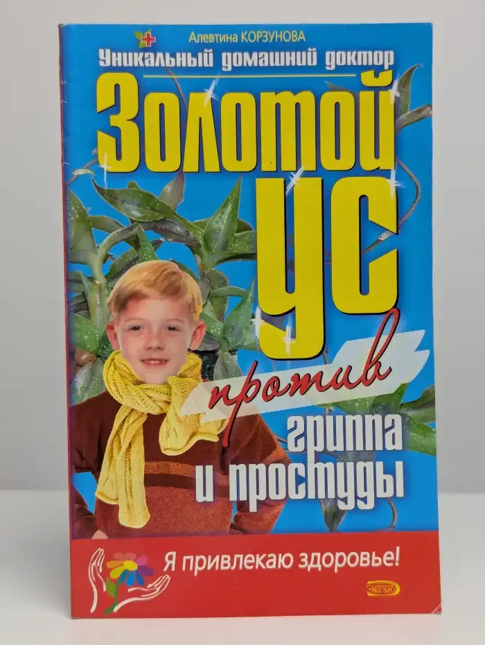 Золотой ус против гриппа и простуды