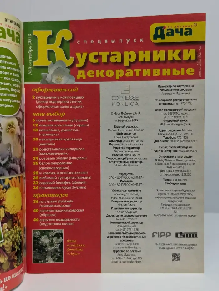 Моя любимая дача. №9, сентябрь 2013. Кустарники декоративные