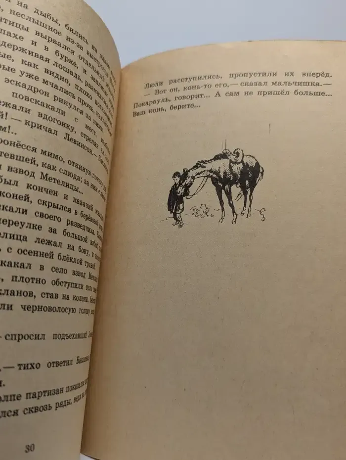 Метелица. Сашко