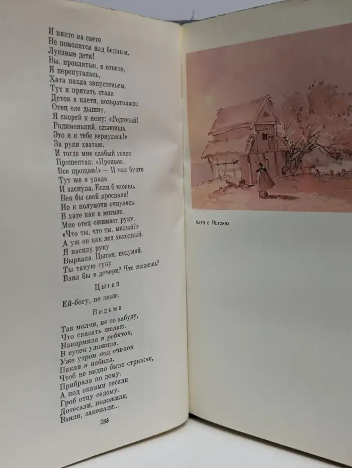 Т. Г. Шевченко. Избранные сочинения