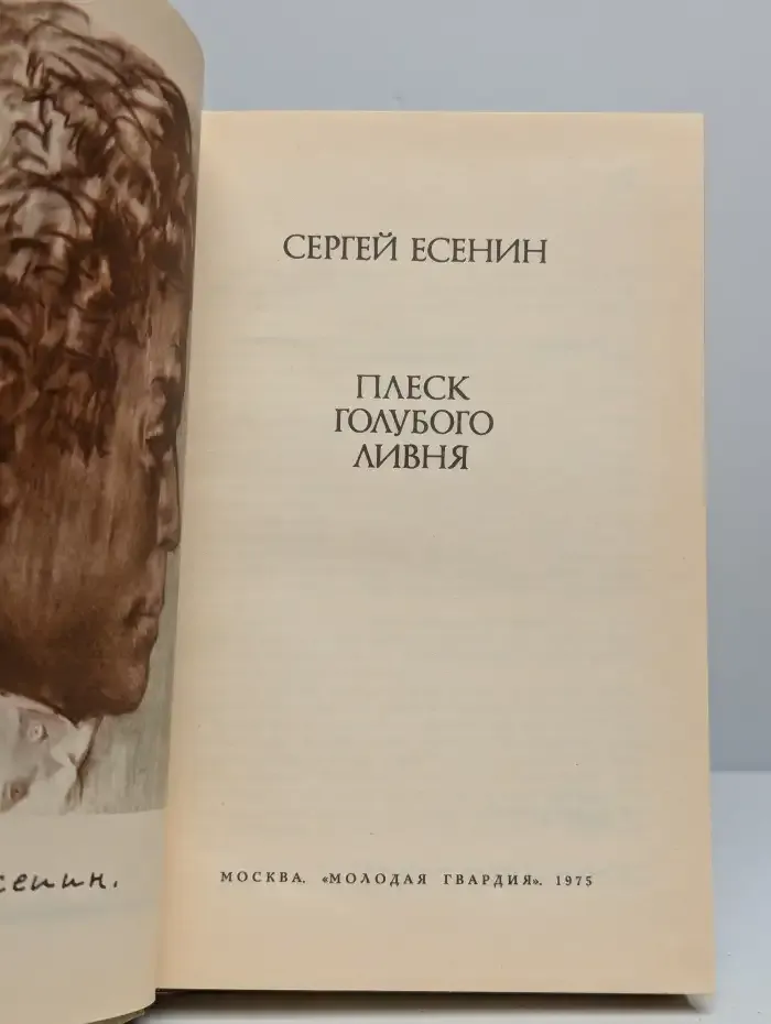 Плеск голубого ливня