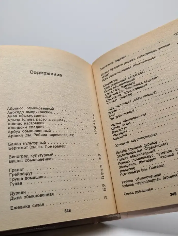 Лечебные фрукты и ягоды