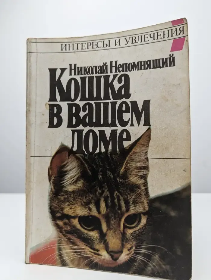 Кошка в вашем доме