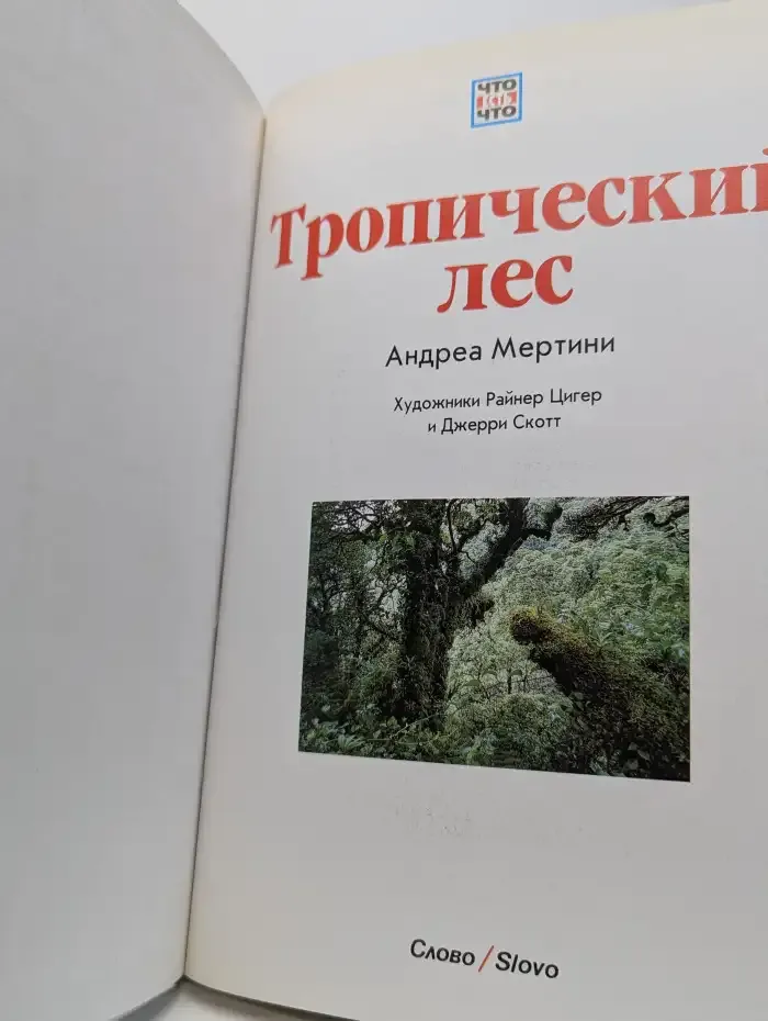 Тропический лес