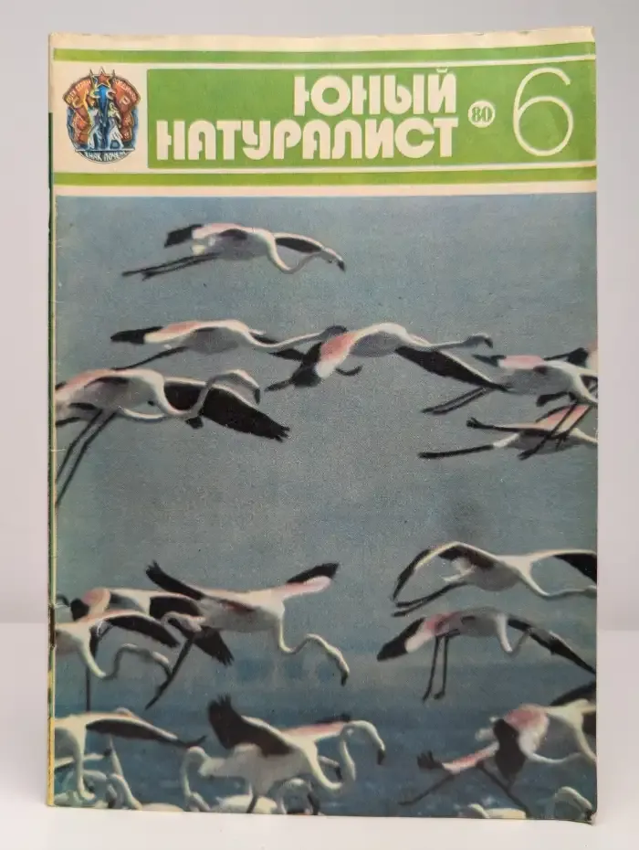 Юный натуралист. Выпуск № 6/1980