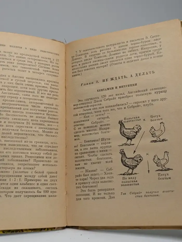 Мутант-5