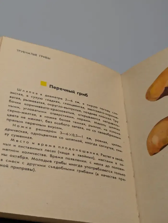 Изучайте грибы