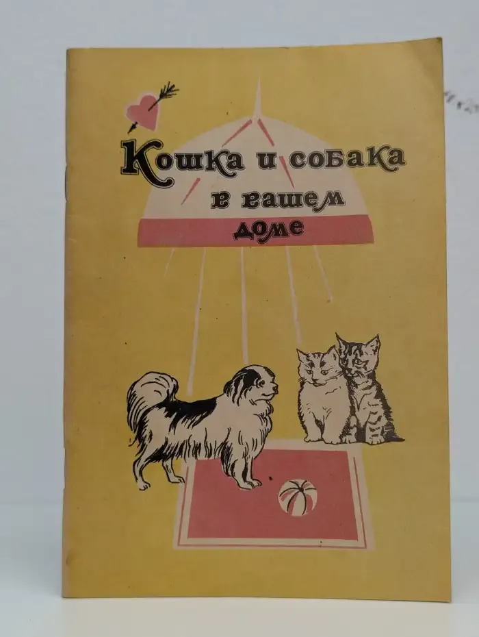 Животные в доме. Кошка и собака в вашем доме