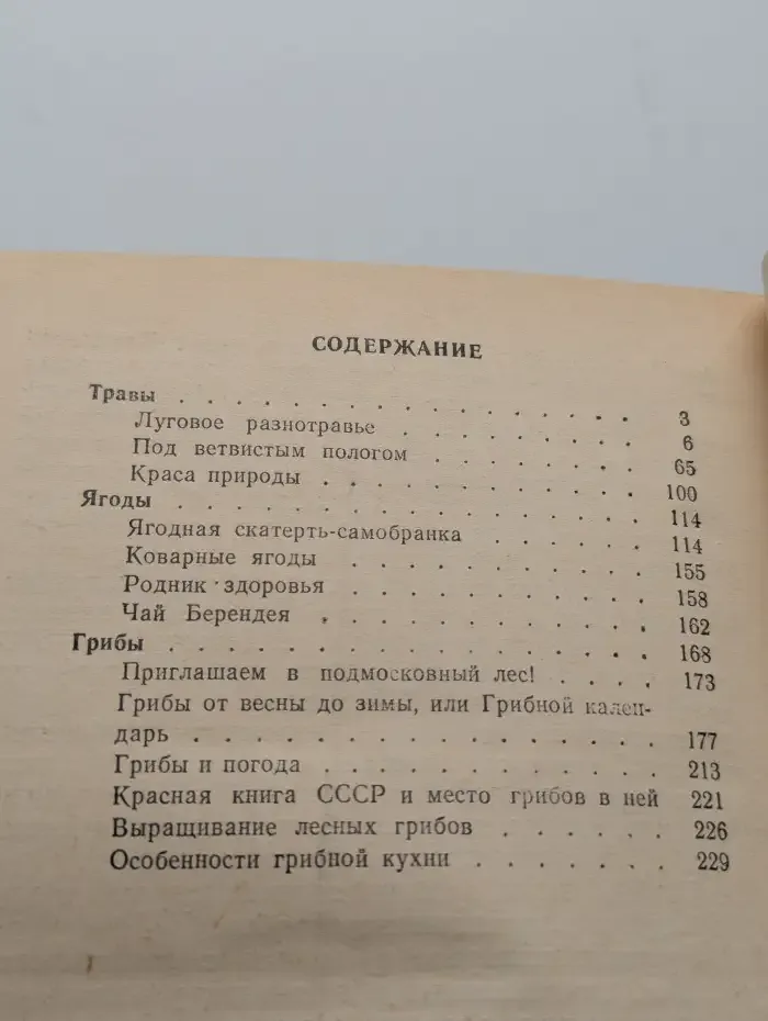 Дары подмосковного леса