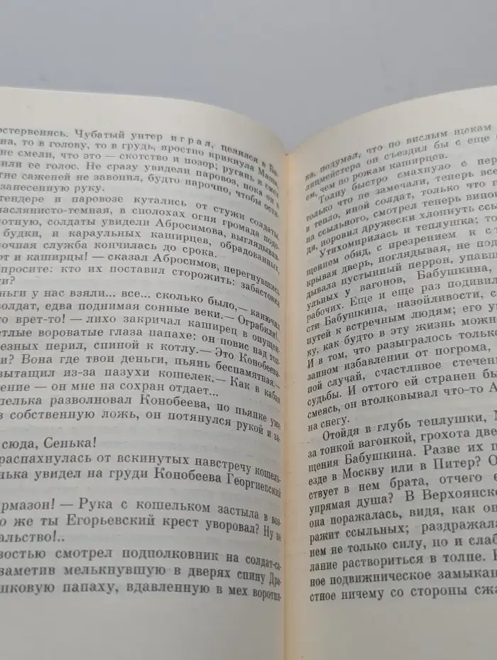 Сечень. Повесть об Иване Бабушкине
