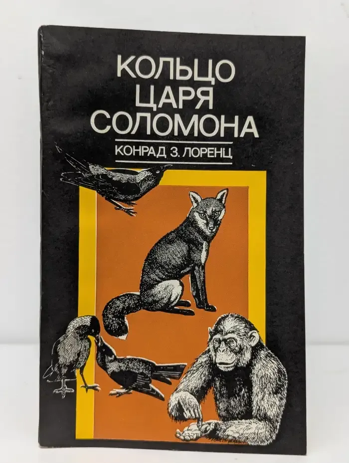 Кольцо царя Соломона