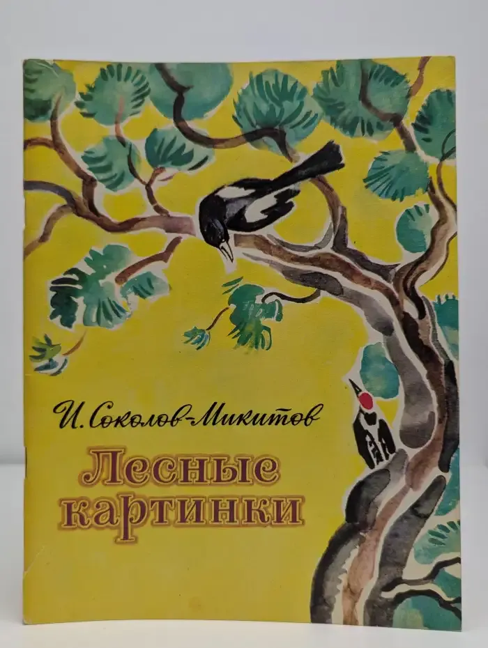 Лесные картинки