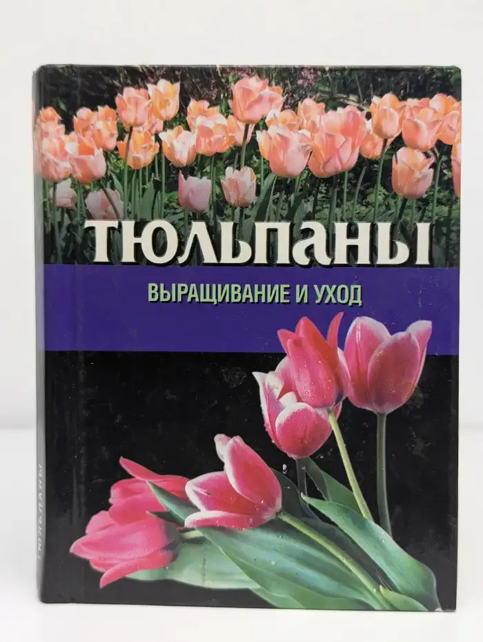 Тюльпаны. Выращивание и уход