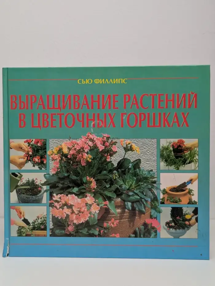 Выращивание растений в цветочных горшках