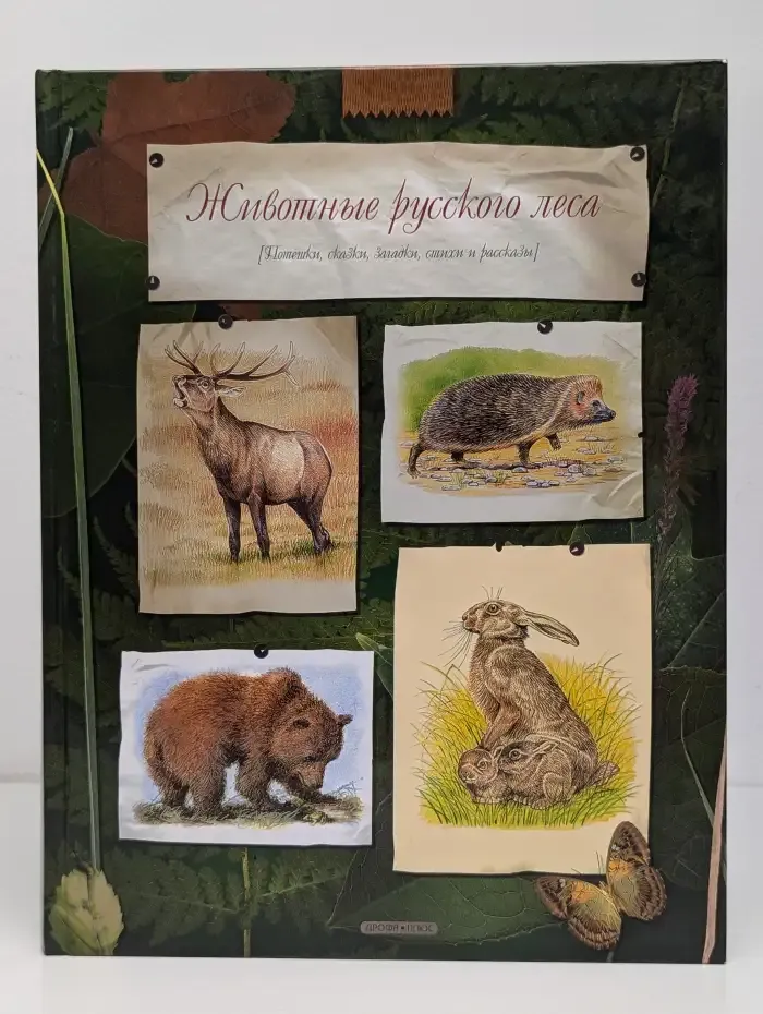 Животные русского леса