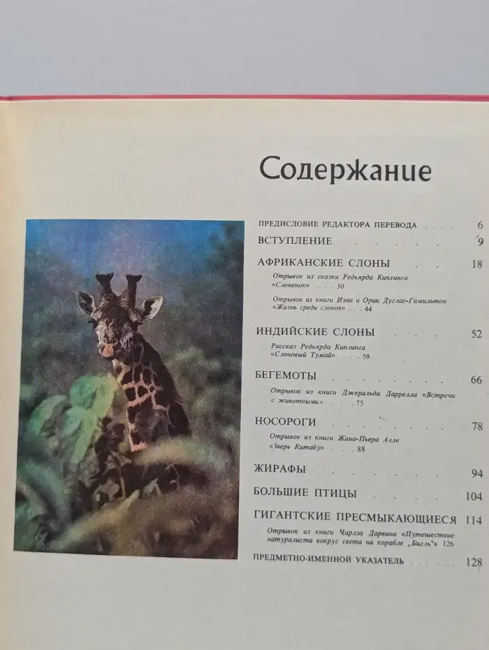 Слоны и другие гиганты суши