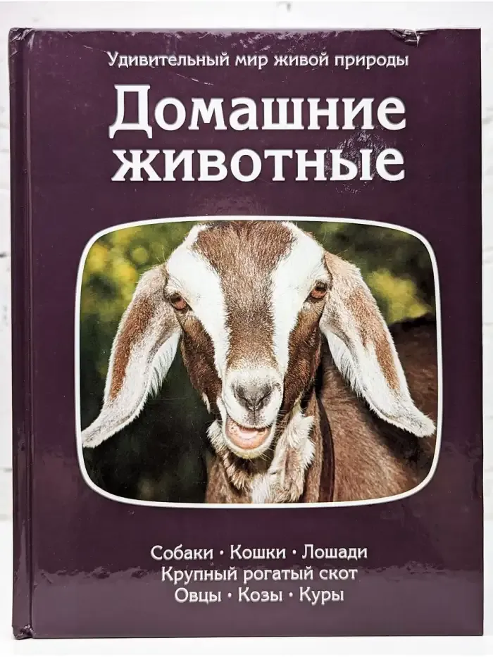 Домашние животные