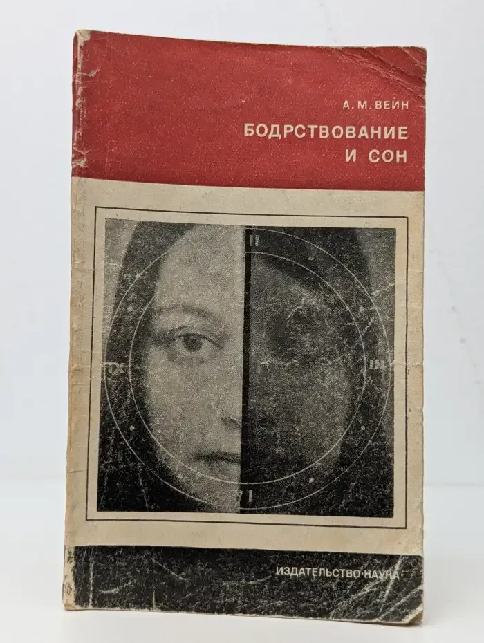 Бодрствование и сон