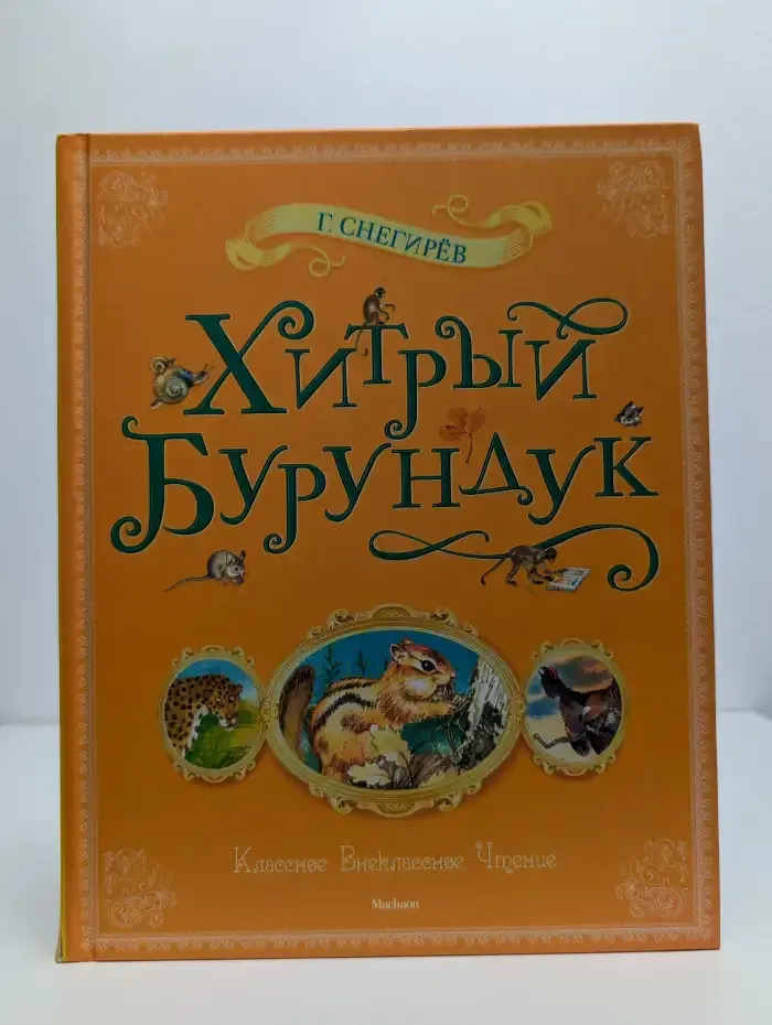 Хитрый бурундук