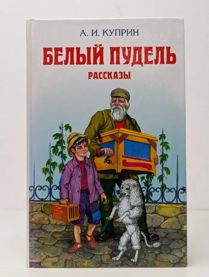 Белый пудель
