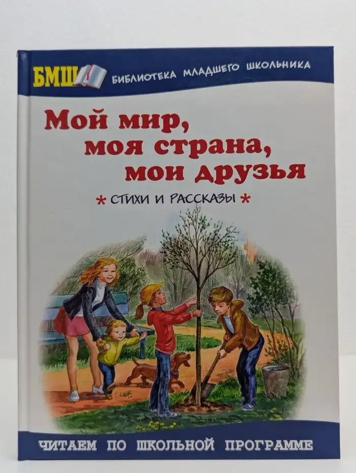 Мой мир, моя страна, мои друзья
