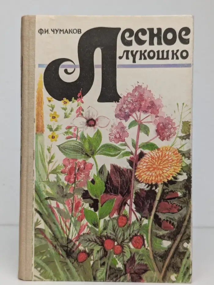 Лесное лукошко